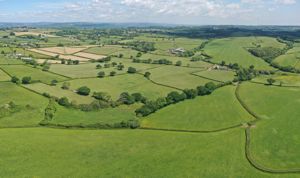 Photo 18- click for photo gallery